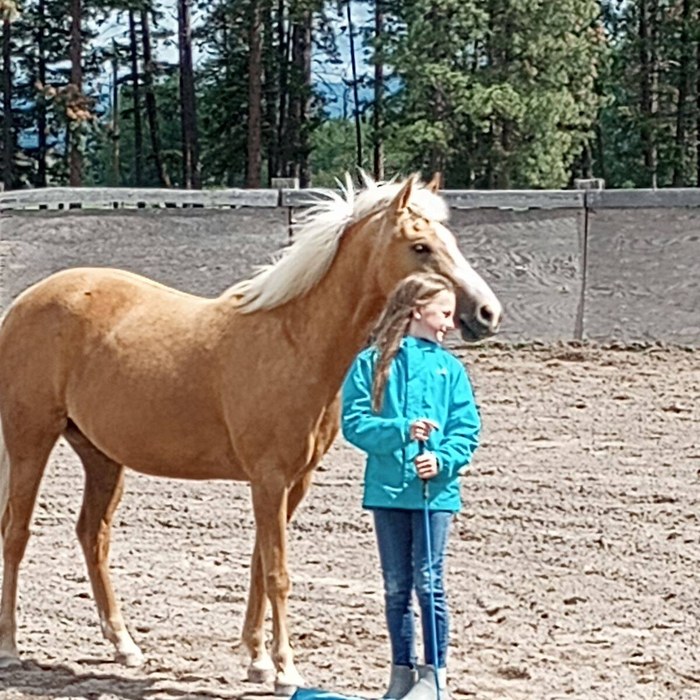 Mia Lengacher standing at liberty with the family&rsquo;s palomino