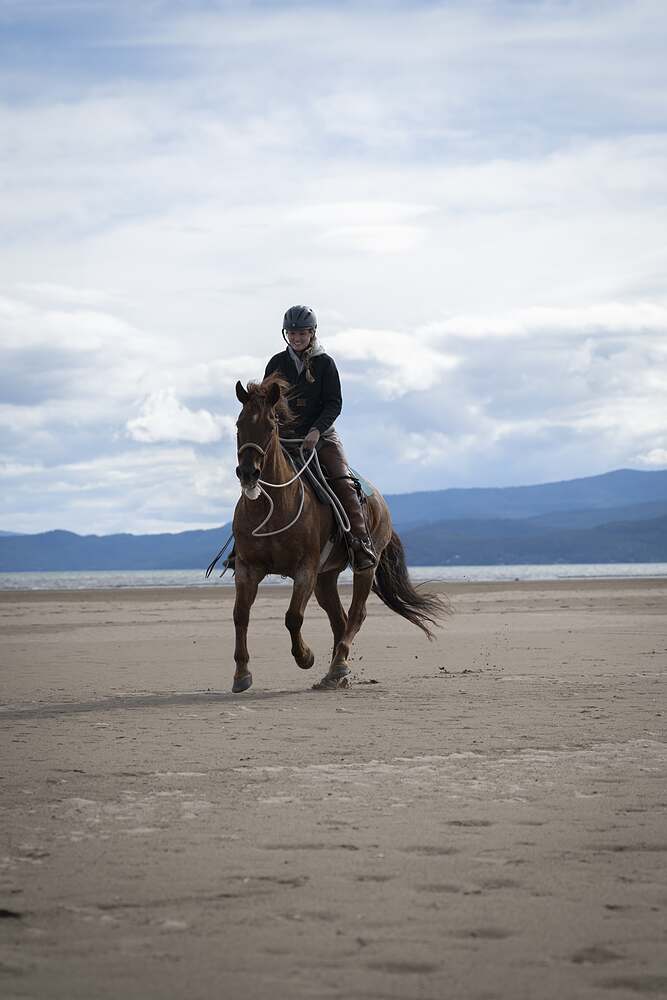 A single rider trotting across the flats with the lake and the mountains beyond