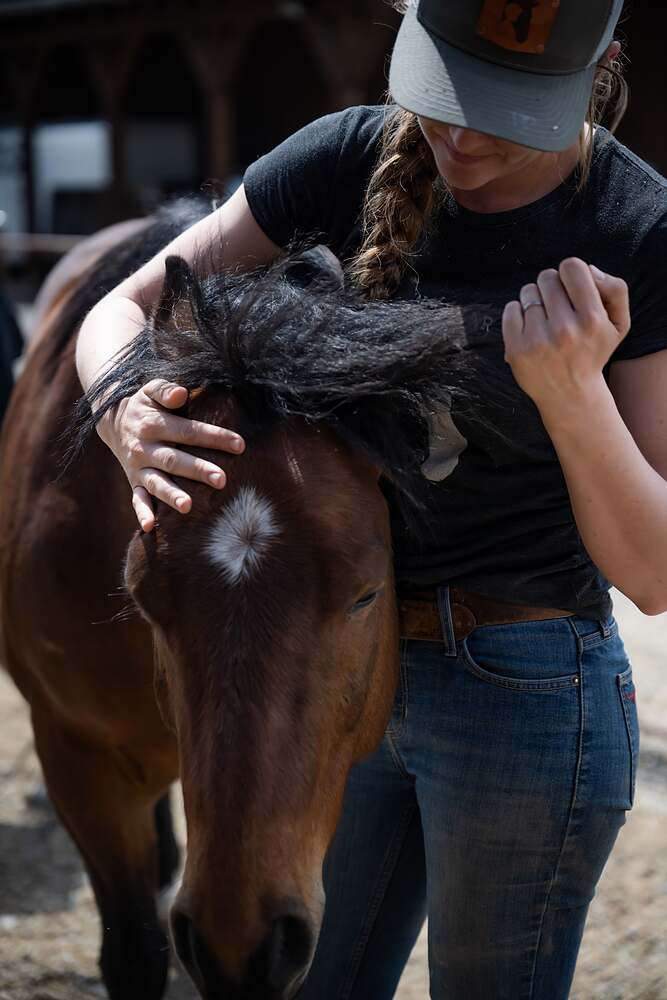 A hand laid flat along a bay horse's neck, the horse's head low and still