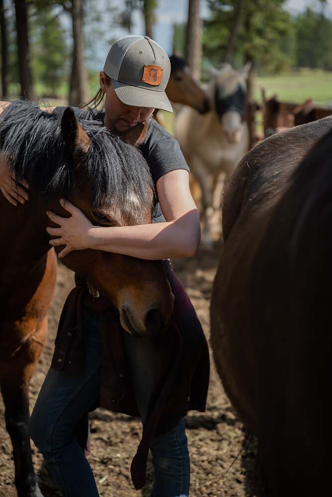 Both arms wrapped around a bay horse's head in the middle of the herd