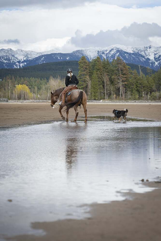 A rider crossing shallow water with a dog alongside, snow still on the peaks