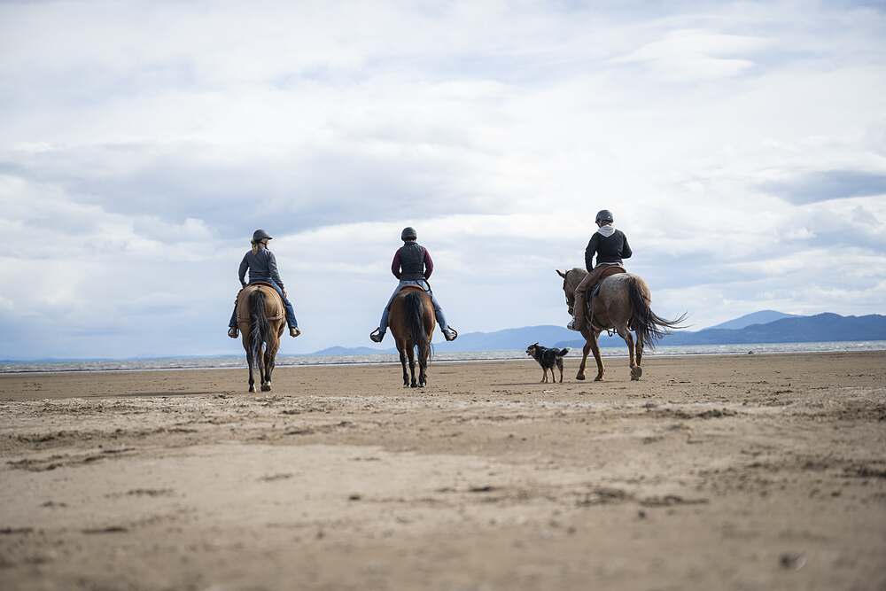 Three riders and a dog heading away down the beach, seen from behind