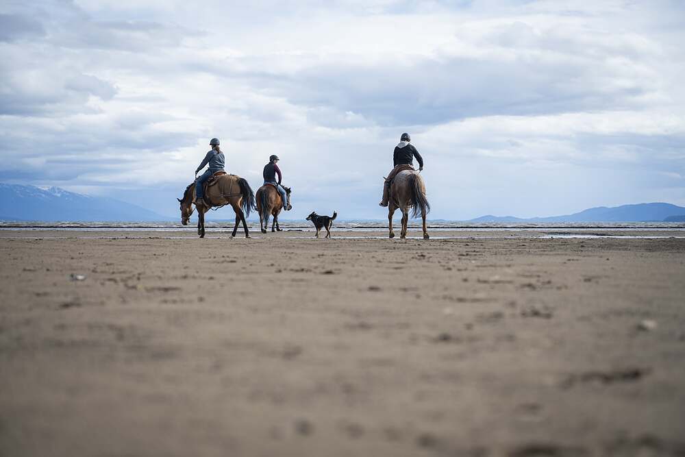 Riders strung out along the far horizon, most of the frame taken up by wet sand and sky