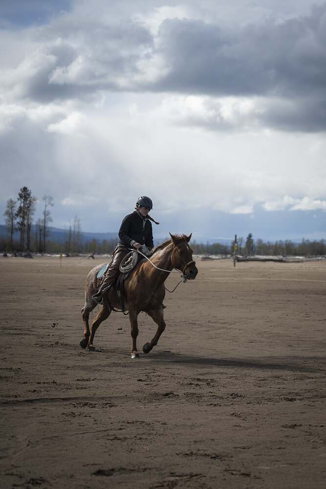 A horse cantering along the flats under a sky about to open