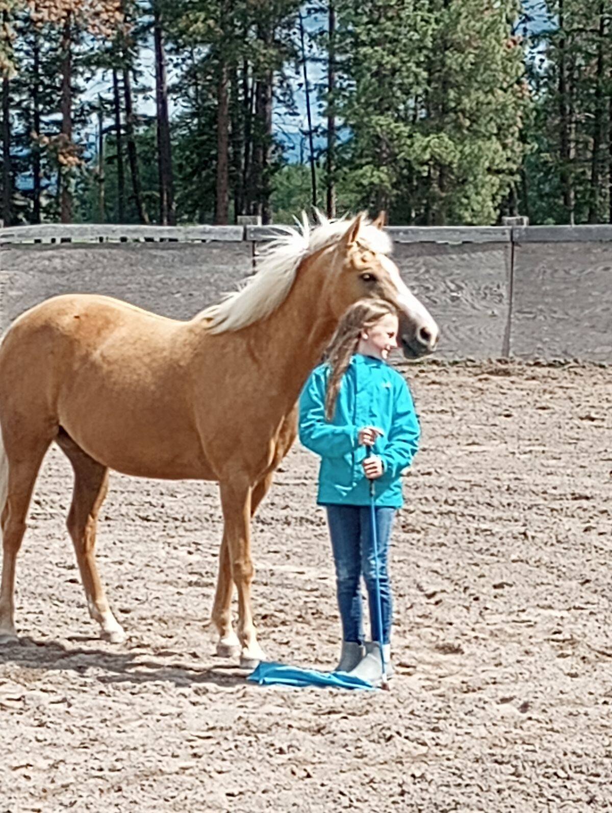 A young rider standing with a loose palomino in a round pen
