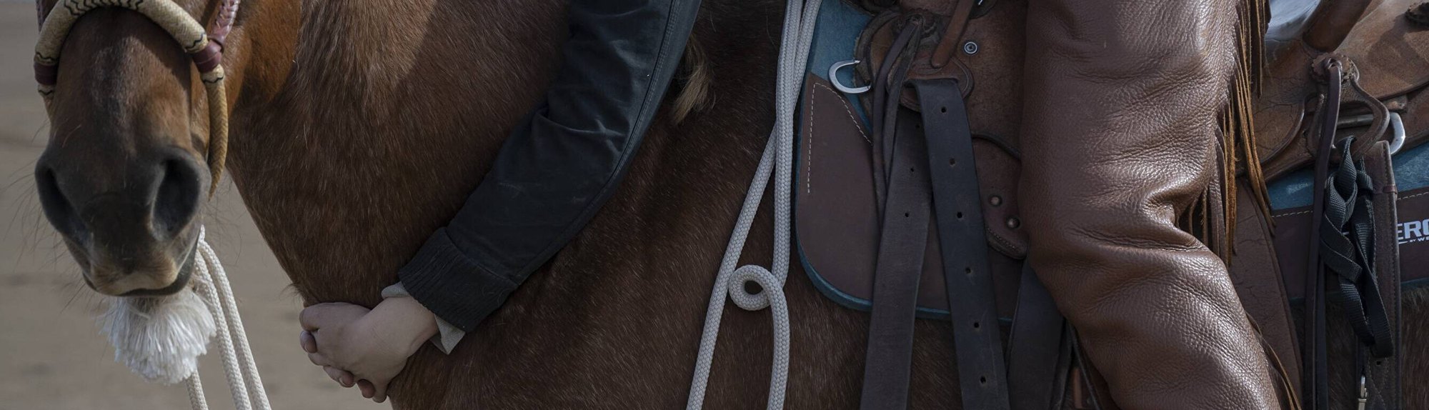 Close detail of a working western saddle, mecate rein and chaps
