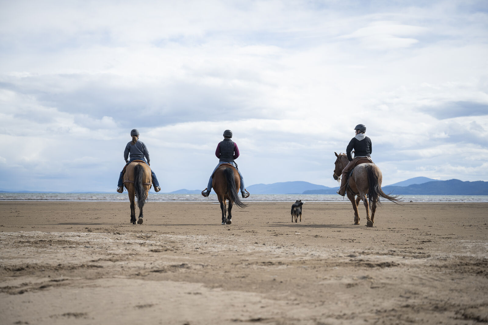 Three riders and a dog heading out across an open flat under a wide Montana sky